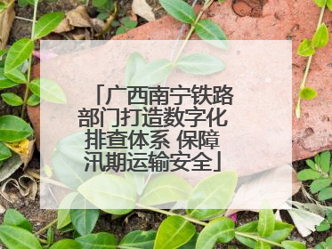 广西南宁铁路部门打造数字化排查体系 保障汛期运输安全