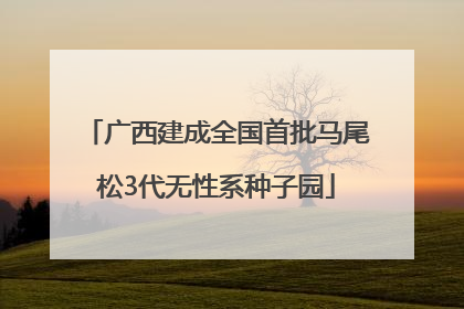 广西建成全国首批马尾松3代无性系种子园