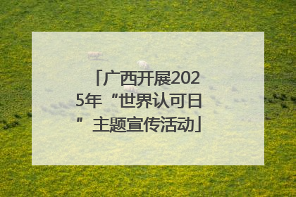 广西开展2025年“世界认可日”主题宣传活动