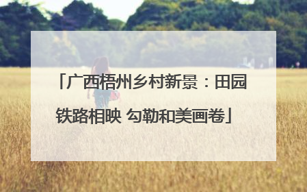 广西梧州乡村新景：田园铁路相映 勾勒和美画卷