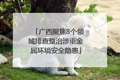 广西聚焦8个领域排查整治涉重金属环境安全隐患