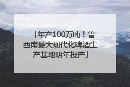 年产100万吨！鲁西南最大现代化啤酒生产基地明年投产