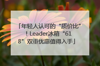 年轻人认可的“质价比”！Leader冰箱“618”双重优惠值得入手