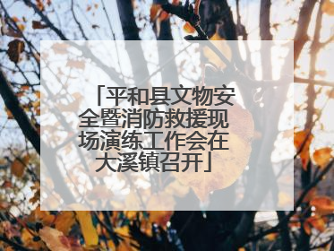 平和县文物安全暨消防救援现场演练工作会在大溪镇召开