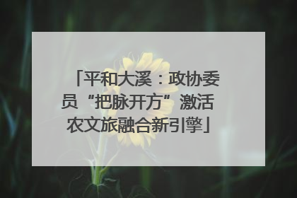 平和大溪：政协委员“把脉开方”激活农文旅融合新引擎