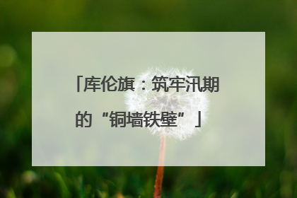库伦旗：筑牢汛期的“铜墙铁壁”