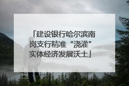 建设银行哈尔滨南岗支行精准“浇灌”实体经济发展沃土