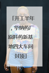 开工半年，华纳药厂原料药新基地四大车间封顶