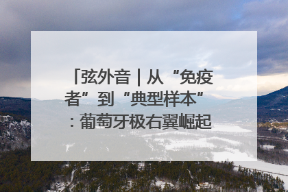 弦外音｜从“免疫者”到“典型样本”：葡萄牙极右翼崛起背后的欧洲困局