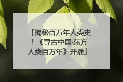揭秘百万年人类史！《寻古中国·东方人类百万年》开播