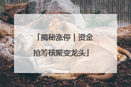 揭秘涨停｜资金抢筹核聚变龙头