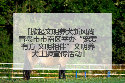 掀起文明养犬新风尚 青岛市市南区举办“宠爱有方 文明相伴”文明养犬主题宣传活动