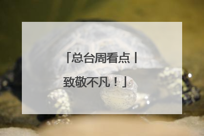 总台周看点丨致敬不凡！