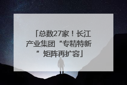 总数27家！长江产业集团“专精特新”矩阵再扩容