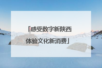 感受数字新陕西 体验文化新消费