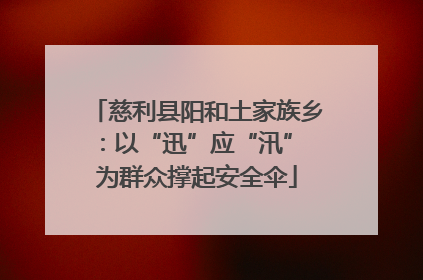 慈利县阳和土家族乡：以“迅”应“汛” 为群众撑起安全伞