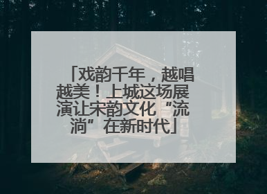 戏韵千年，越唱越美！上城这场展演让宋韵文化“流淌”在新时代