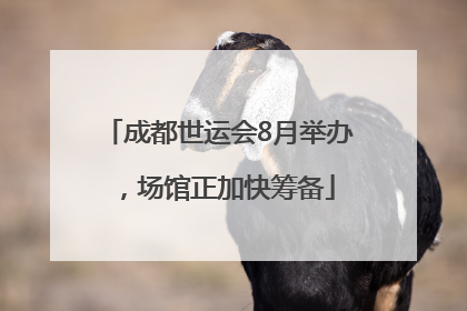 成都世运会8月举办，场馆正加快筹备