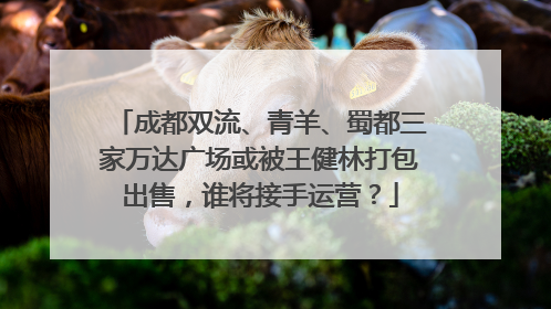 成都双流、青羊、蜀都三家万达广场或被王健林打包出售，谁将接手运营？