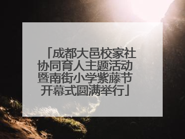 成都大邑校家社协同育人主题活动暨南街小学紫藤节开幕式圆满举行