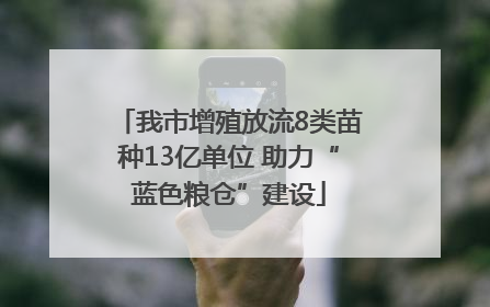 我市增殖放流8类苗种13亿单位 助力“蓝色粮仓”建设