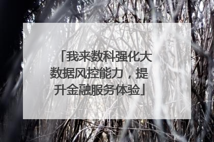 我来数科强化大数据风控能力，提升金融服务体验