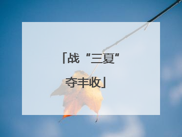 战“三夏” 夺丰收