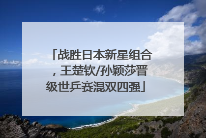 战胜日本新星组合，王楚钦/孙颖莎晋级世乒赛混双四强
