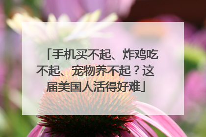 手机买不起、炸鸡吃不起、宠物养不起？这届美国人活得好难