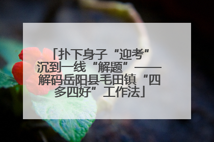 扑下身子“迎考” 沉到一线“解题”——解码岳阳县毛田镇“四多四好”工作法