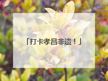 打卡孝昌非遗！