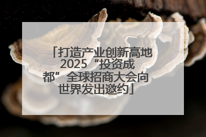 打造产业创新高地 2025“投资成都”全球招商大会向世界发出邀约