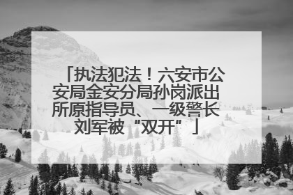 执法犯法！六安市公安局金安分局孙岗派出所原指导员、一级警长刘军被“双开”