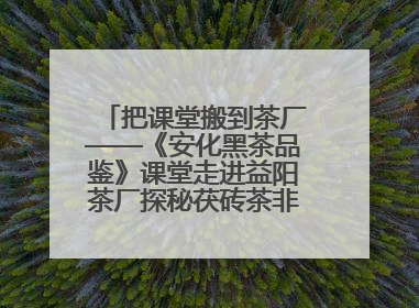 把课堂搬到茶厂——《安化黑茶品鉴》课堂走进益阳茶厂探秘茯砖茶非遗技艺