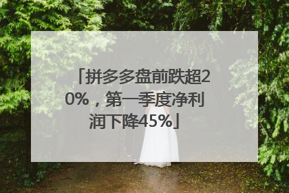 拼多多盘前跌超20%，第一季度净利润下降45%