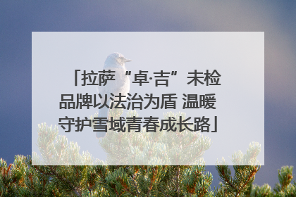 拉萨“卓·吉”未检品牌以法治为盾 温暖守护雪域青春成长路