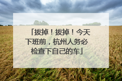 拔掉！拔掉！今天下班前，杭州人务必检查下自己的车