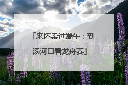 来怀柔过端午：到汤河口看龙舟赛