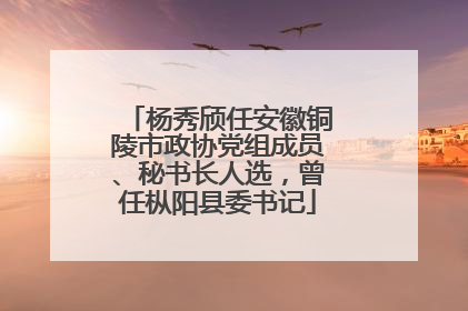 杨秀颀任安徽铜陵市政协党组成员、秘书长人选，曾任枞阳县委书记