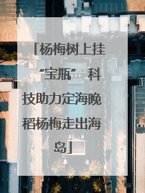 杨梅树上挂“宝瓶” 科技助力定海晚稻杨梅走出海岛