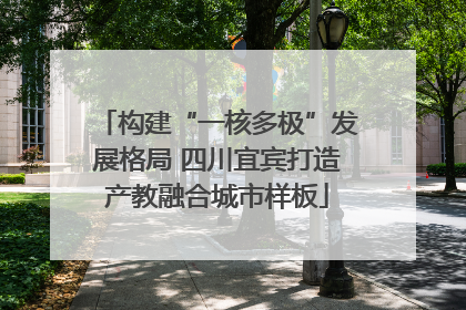 构建“一核多极”发展格局 四川宜宾打造产教融合城市样板