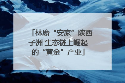 林麝“安家”陕西子洲 生态链上崛起的“黄金”产业