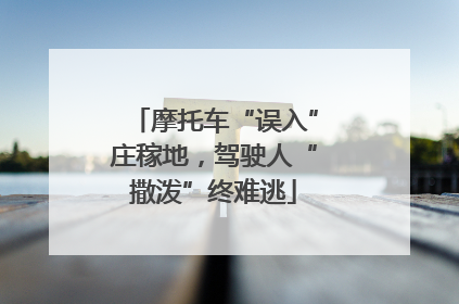 摩托车“误入”庄稼地，驾驶人“撒泼”终难逃
