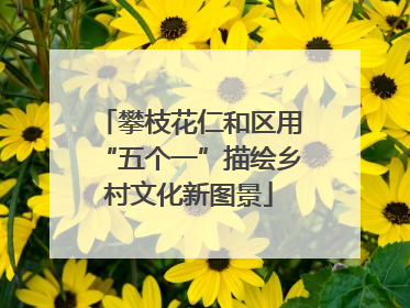 攀枝花仁和区用“五个一”描绘乡村文化新图景