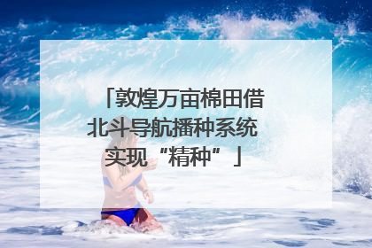 敦煌万亩棉田借北斗导航播种系统实现“精种”