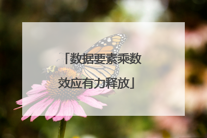 数据要素乘数效应有力释放