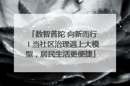 数智普陀 向新而行〡当社区治理遇上大模型，居民生活更便捷