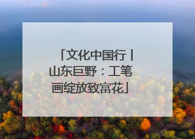 文化中国行丨山东巨野：工笔画绽放致富花