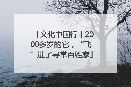 文化中国行丨2000多岁的它，“飞”进了寻常百姓家