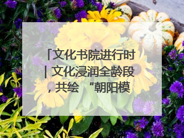文化书院进行时｜文化浸润全龄段，共绘 “朝阳模式” 新图景！